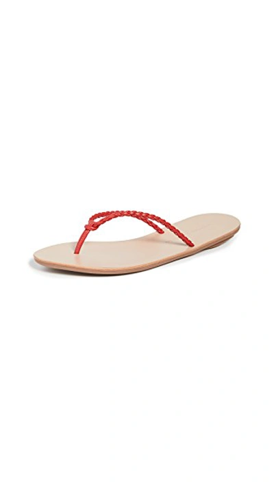 Shop Loeffler Randall Kaia Braided Plank Flip Flops In Cherry Red