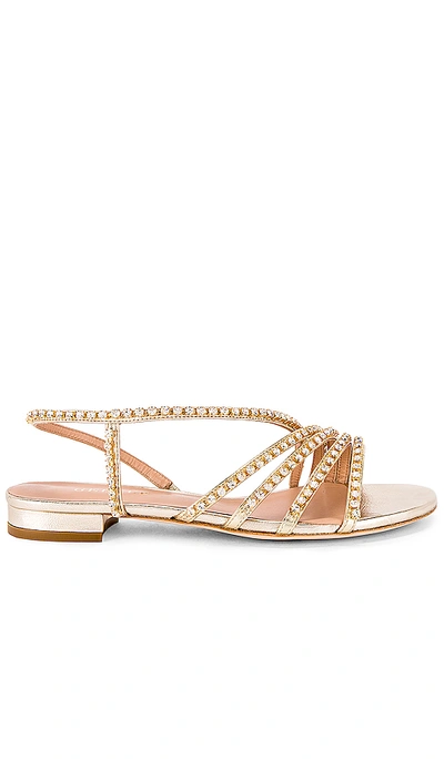 Shop Gedebe Camila Sandal In Platino