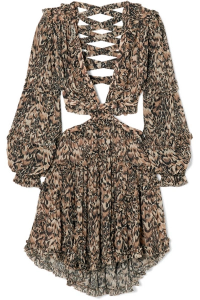 Shop Zimmermann Eyes On Summer Cutout Leopard-print Cotton And Silk-blend Chiffon Dress In Leopard Print