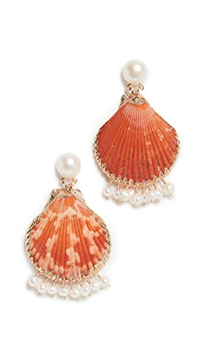 Shop Mercedes Salazar Shell Earrings With Dangling Pearls In Orange