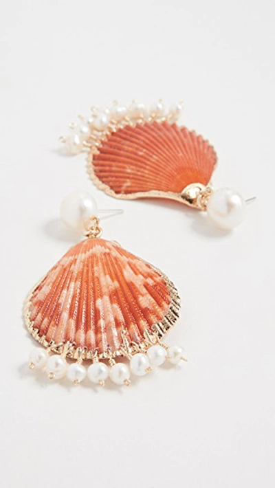 Shop Mercedes Salazar Shell Earrings With Dangling Pearls In Orange