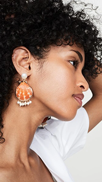 Shop Mercedes Salazar Shell Earrings With Dangling Pearls In Orange