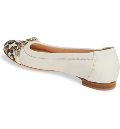 Shop Agl Attilio Giusti Leombruni Cap Toe Ballet Flat In Off White/ Gold Leopard