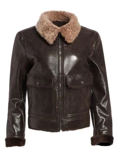 Shop Brunello Cucinelli Buffered Leather & Shearling Aviator Jacket In Dark Brown