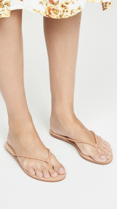 Shop Loeffler Randall Kaia Braided Plank Flip Flops In Dune