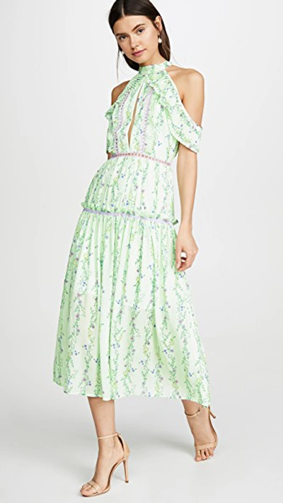 Shop Glamorous Apple Linear Floral Crepe Dress In Apple Floral