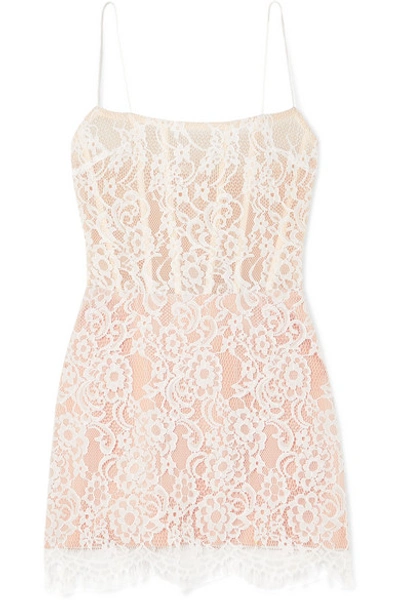 Shop Rasario Lace And Tulle Mini Dress In White