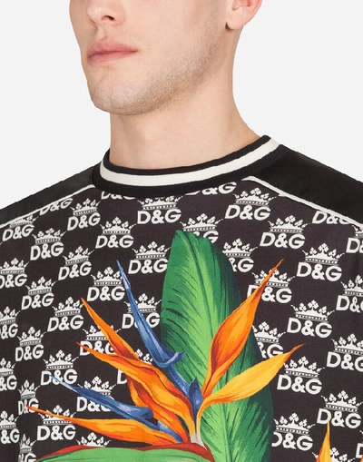 Shop Dolce & Gabbana Cotton T-shirt With Dg Logo And Bird Of Paradise Print In Multi-colored