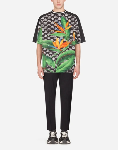 Shop Dolce & Gabbana Cotton T-shirt With Dg Logo And Bird Of Paradise Print In Multi-colored