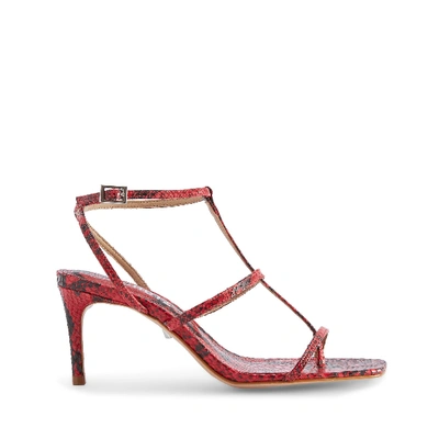 Shop Schutz Ameena Sandal In Scarlet Snake