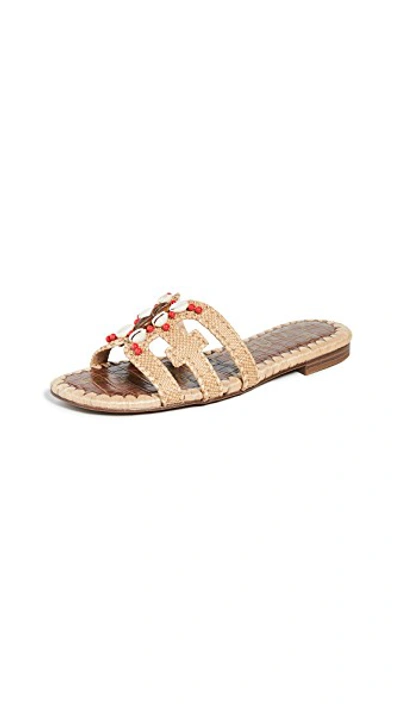Shop Sam Edelman Bradie Slide Sandals In Almond