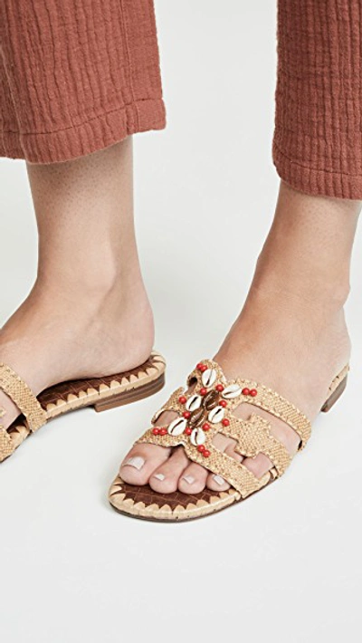 Shop Sam Edelman Bradie Slide Sandals In Almond