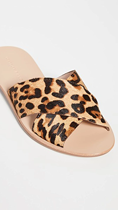 Shop Loeffler Randall Claudie Crossed Plank Slides In Leopard