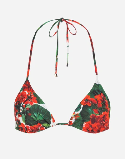 Shop Dolce & Gabbana Portofino-print Triangle Bikini Top In Floral Print