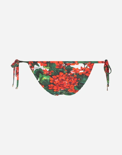 Shop Dolce & Gabbana Portofino-print Tie Bikini Bottoms In Floral Print