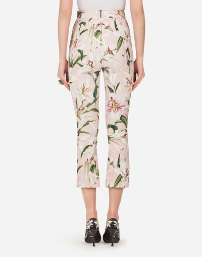 Shop Dolce & Gabbana Lily-print Cady Pants In Pink