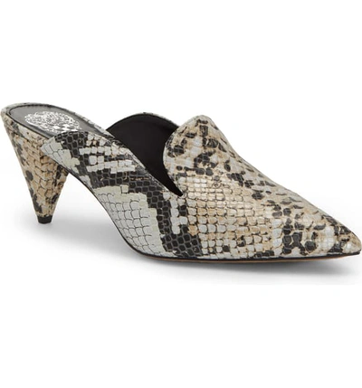 Shop Vince Camuto Cessilia Pointy Toe Mule In Neutral Print Leather