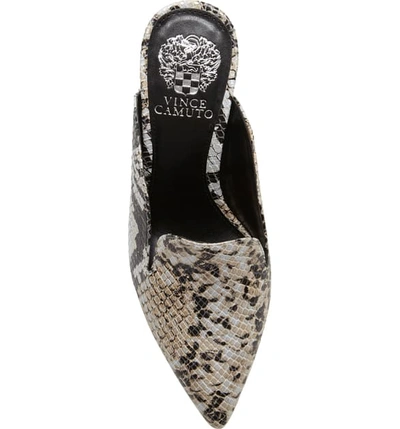 Shop Vince Camuto Cessilia Pointy Toe Mule In Neutral Print Leather