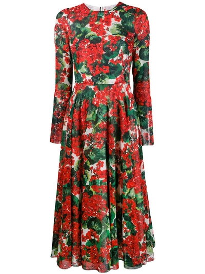 Shop Dolce & Gabbana Portofino-print Midi Dress - Red