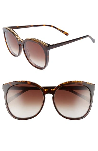 Shop Stella Mccartney 59mm Cat Eye Sunglasses - Avana