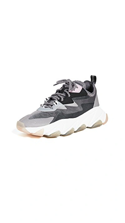 Shop Ash Eclipse Trainers In Fog/silver/black/white/fog