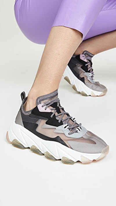 Shop Ash Eclipse Trainers In Fog/silver/black/white/fog