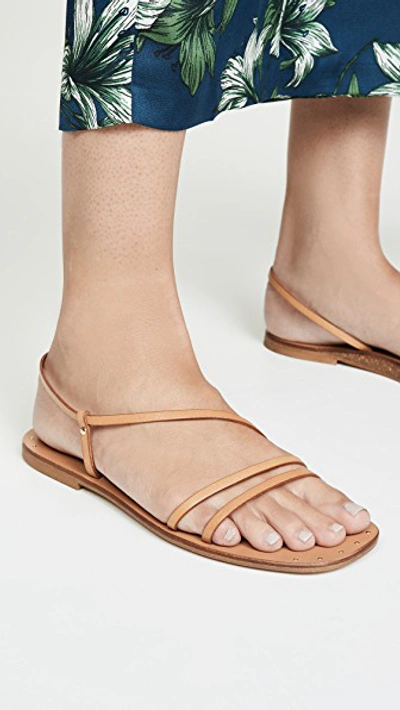Shop Joie Baja Flat Sandals In Natural
