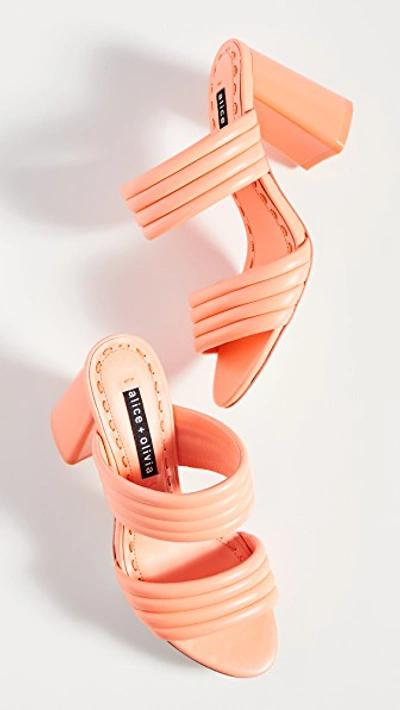 Shop Alice And Olivia Lori Mules In Neon Peach