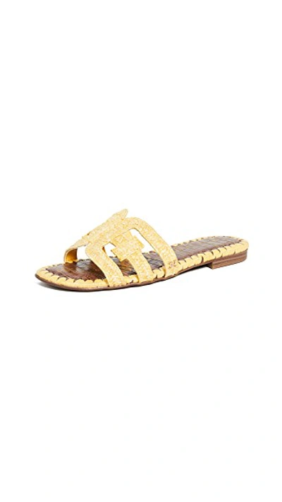 Shop Sam Edelman Beckie 2 Slides In Lemon