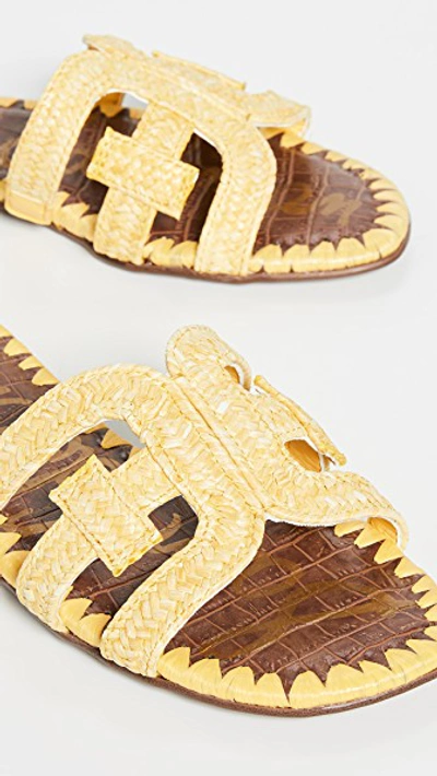 Shop Sam Edelman Beckie 2 Slides In Lemon