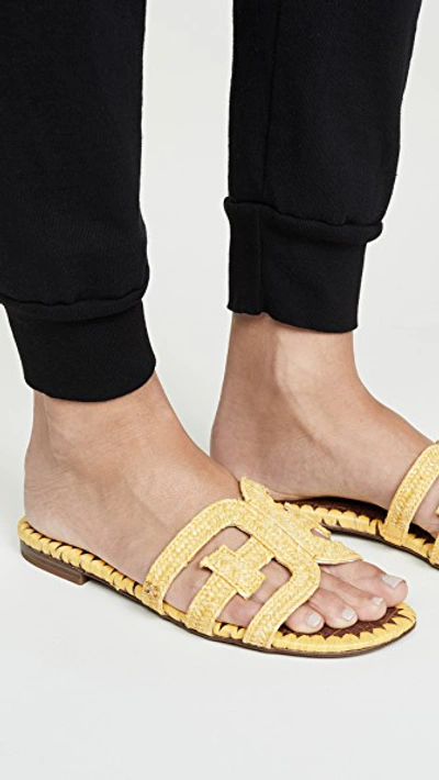 Shop Sam Edelman Beckie 2 Slides In Lemon