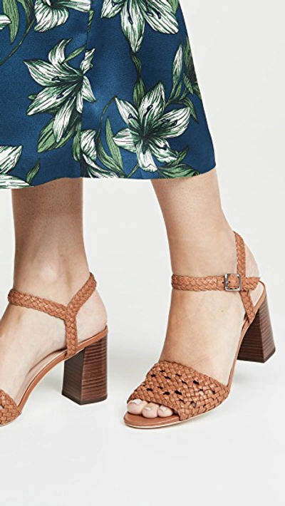 Shop Loeffler Randall Liana Woven Leather Sandals In Timber Brown