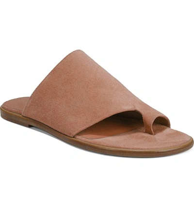 Shop Vince Edris Toe Loop Sandal In Terracotta Rose