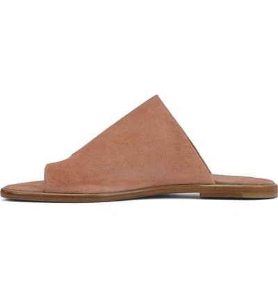 Shop Vince Edris Toe Loop Sandal In Terracotta Rose