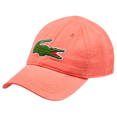 Shop Lacoste Big Croc Gabardine Strapback Hat In Orange