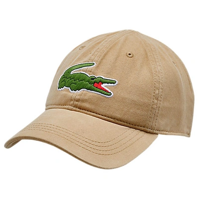 Shop Lacoste Big Croc Gabardine Strapback Hat In Brown Cotton