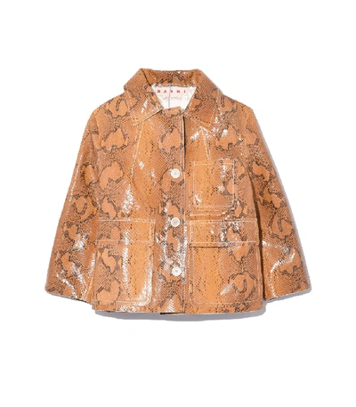 Shop Marni Mid Sleeve Leather Jacket In Cigar In White