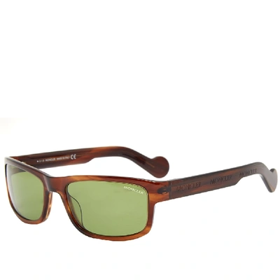 Shop Moncler Ml0114 Sunglasses In Brown