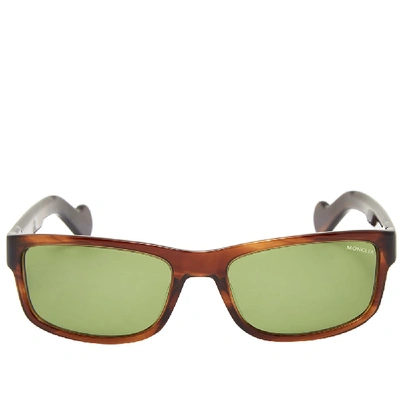 Shop Moncler Ml0114 Sunglasses In Brown