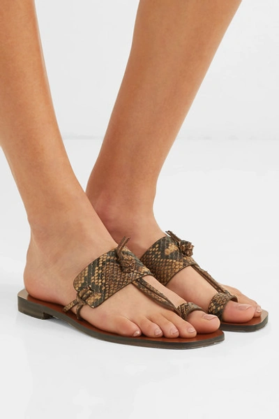 Shop Zimmermann Knotted Snake-effect Leather Sandals In Snake Print