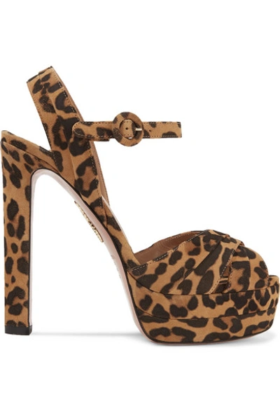 Shop Aquazzura Coquette 140 Leopard-print Suede Platform Sandals In Leopard Print