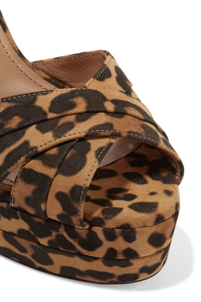 Shop Aquazzura Coquette 140 Leopard-print Suede Platform Sandals In Leopard Print