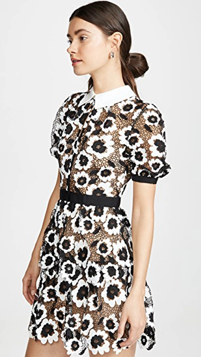 Shop Self-portrait Abstract Floral Guipure Mini Dress In Ivory/black