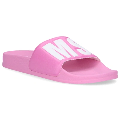 Msgm Beach Sandals College In Pink