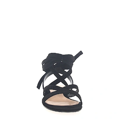 Shop Gianvito Rossi Sandals Suede In Black