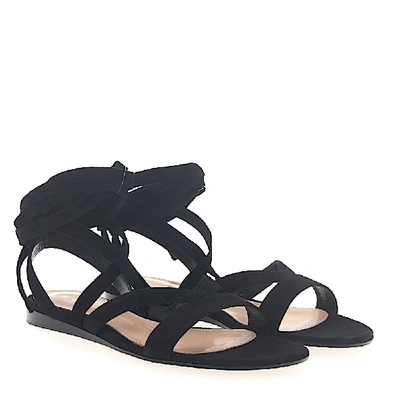 Shop Gianvito Rossi Sandals Suede In Black