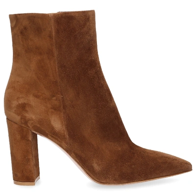 Shop Gianvito Rossi Ankle Boots Piper 85 Suede Brown
