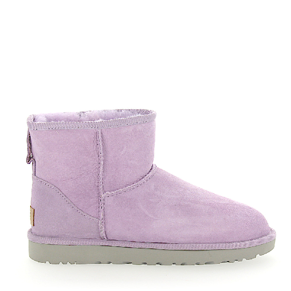 purple uggs