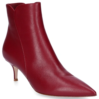 Shop Gianvito Rossi Ankle Boots Levy 55 Nappa Leather Bordeaux In Red