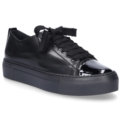 Shop Agl Attilio Giusti Leombruni Low-top Sneakers D925065 Calfskin In Black